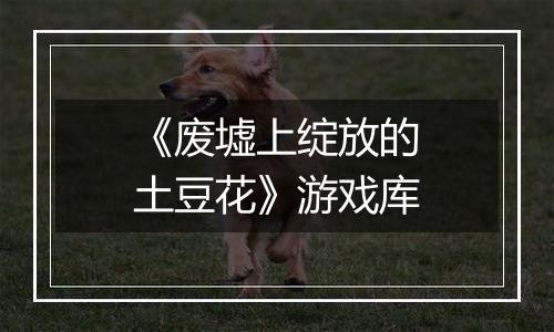 《废墟上绽放的土豆花》游戏库