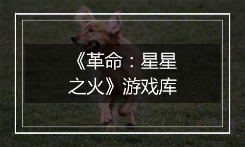 《革命：星星之火》游戏库