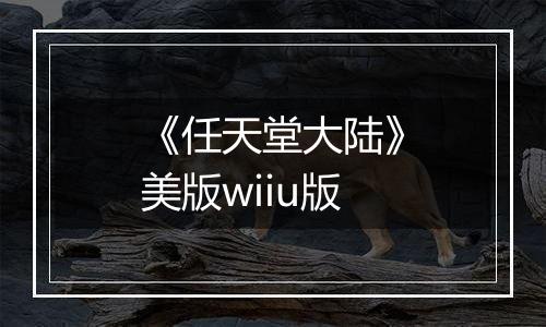 《任天堂大陆》美版wiiu版