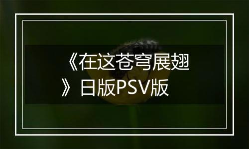 《在这苍穹展翅》日版PSV版