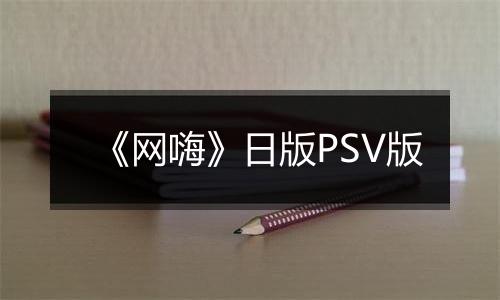 《网嗨》日版PSV版