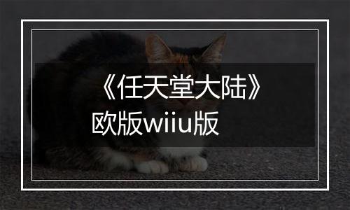 《任天堂大陆》欧版wiiu版