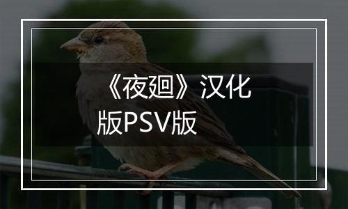 《夜廻》汉化版PSV版