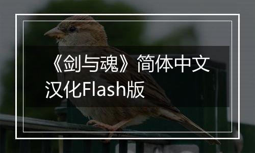 《剑与魂》简体中文汉化Flash版