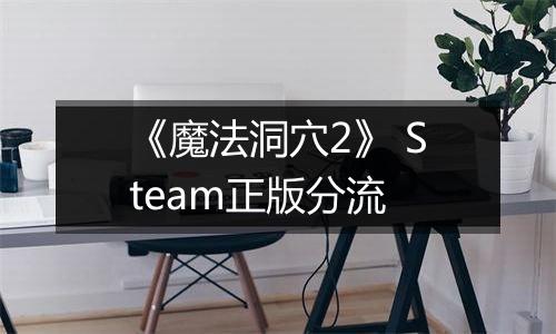 《魔法洞穴2》 Steam正版分流