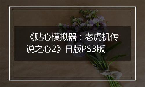 《贴心模拟器：老虎机传说之心2》日版PS3版