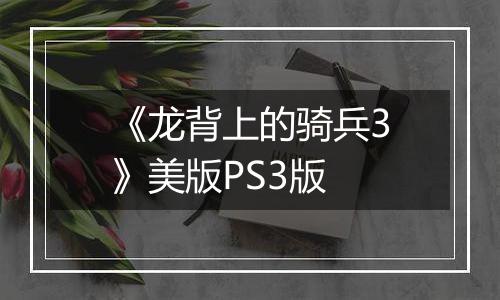 《龙背上的骑兵3》美版PS3版