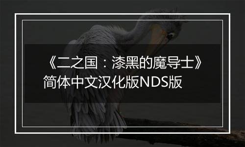 《二之国：漆黑的魔导士》简体中文汉化版NDS版