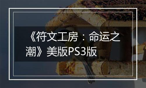 《符文工房：命运之潮》美版PS3版