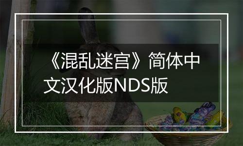 《混乱迷宫》简体中文汉化版NDS版