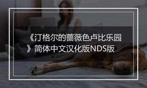《汀格尔的蔷薇色卢比乐园》简体中文汉化版NDS版