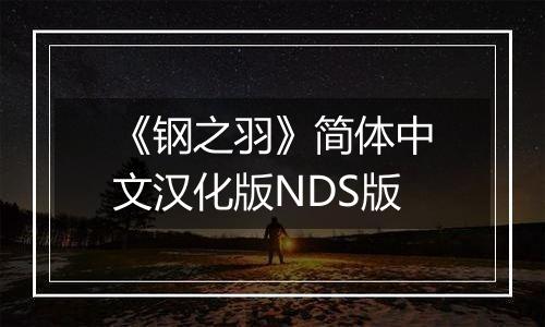 《钢之羽》简体中文汉化版NDS版