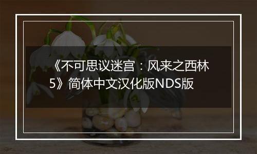 《不可思议迷宫：风来之西林5》简体中文汉化版NDS版