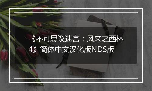 《不可思议迷宫：风来之西林4》简体中文汉化版NDS版