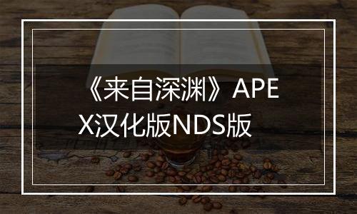 《来自深渊》APEX汉化版NDS版