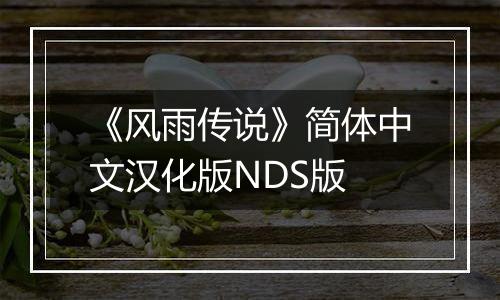 《风雨传说》简体中文汉化版NDS版