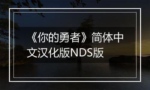 《你的勇者》简体中文汉化版NDS版