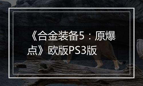 《合金装备5:原爆点》欧版PS3版