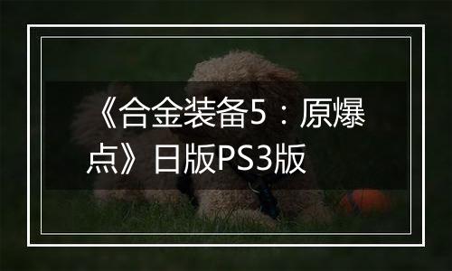 《合金装备5:原爆点》日版PS3版