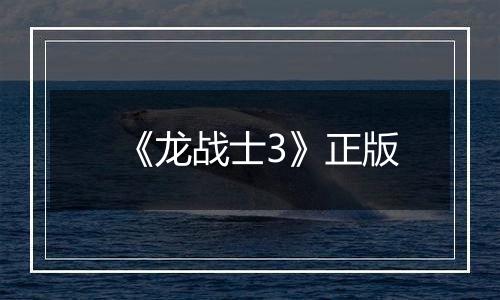 《龙战士3》正版