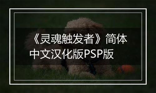 《灵魂触发者》简体中文汉化版PSP版