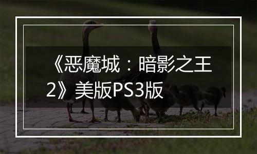 《恶魔城:暗影之王2》美版PS3版