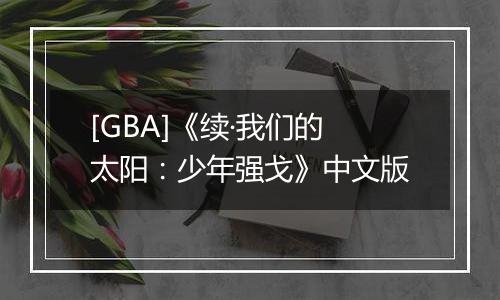 [GBA]《续·我们的太阳：少年强戈》中文版