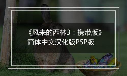 《风来的西林3：携带版》 简体中文汉化版PSP版