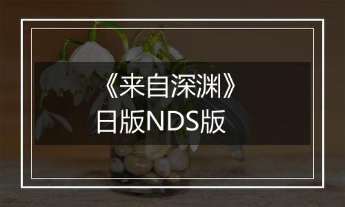 《来自深渊》 日版NDS版