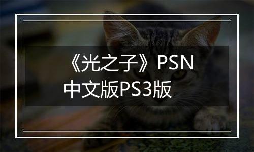 《光之子》PSN中文版PS3版