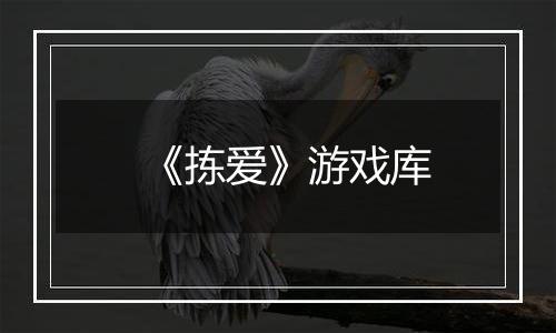 《拣爱》游戏库