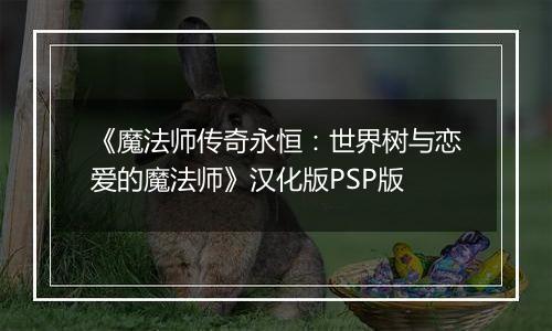 《魔法师传奇永恒:世界树与恋爱的魔法师》汉化版PSP版