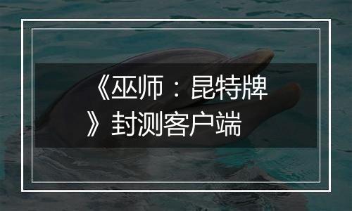 《巫师：昆特牌》封测客户端