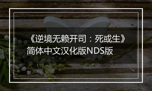 《逆境无赖开司:死或生》简体中文汉化版NDS版