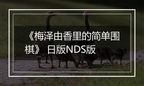 《梅泽由香里的简单围棋》 日版NDS版
