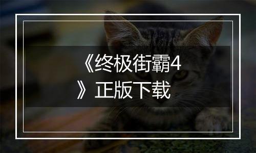 《终极街霸4》正版下载