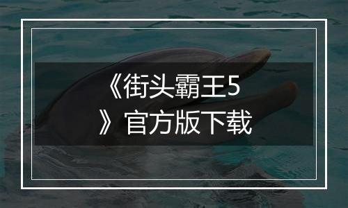《街头霸王5》官方版下载