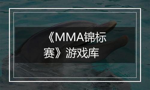 《MMA锦标赛》游戏库