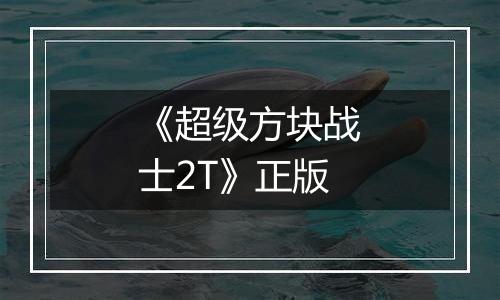 《超级方块战士2T》正版
