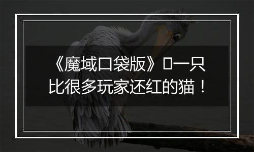 《魔域口袋版》​一只比很多玩家还红的猫！