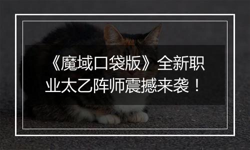 《魔域口袋版》全新职业太乙阵师震撼来袭！