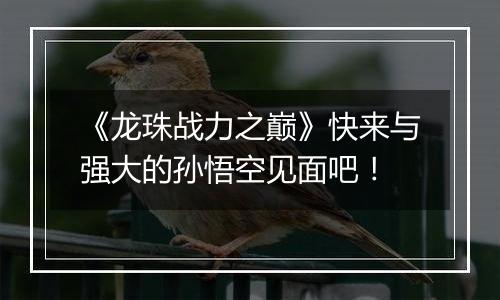 《龙珠战力之巅》快来与强大的孙悟空见面吧！