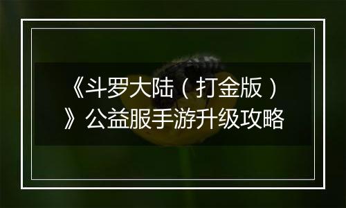 《斗罗大陆（打金版）》公益服手游升级攻略