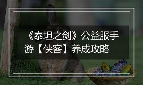 《泰坦之剑》公益服手游【侠客】养成攻略