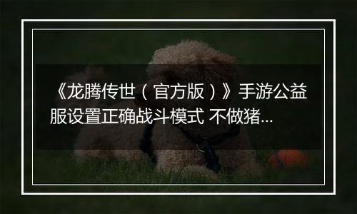 《龙腾传世（官方版）》手游公益服设置正确战斗模式 不做猪队友