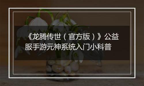 《龙腾传世（官方版）》公益服手游元神系统入门小科普
