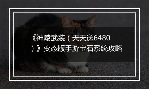 《神陵武装（天天送6480）》变态版手游宝石系统攻略
