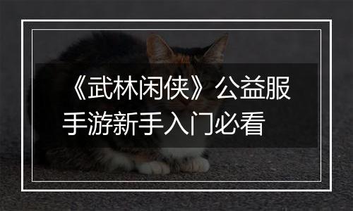 《武林闲侠》公益服手游新手入门必看