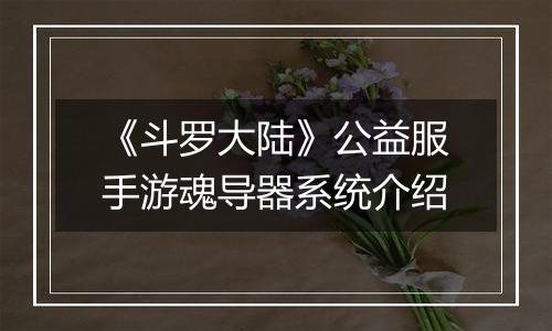 《斗罗大陆》公益服手游魂导器系统介绍