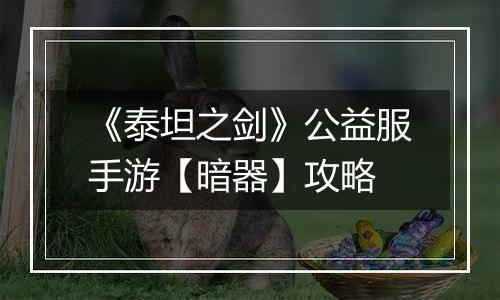 《泰坦之剑》公益服手游【暗器】攻略
